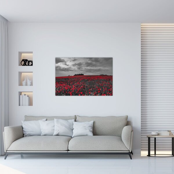 Slika makova (90x60 cm)