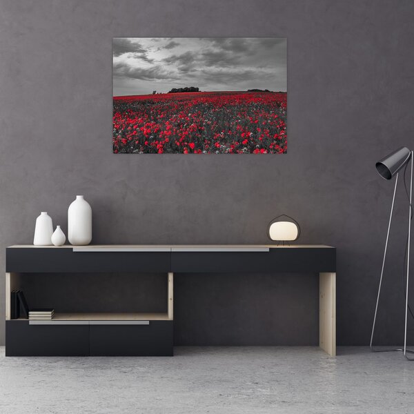 Slika makova (90x60 cm)