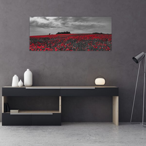 Slika makova (120x50 cm)