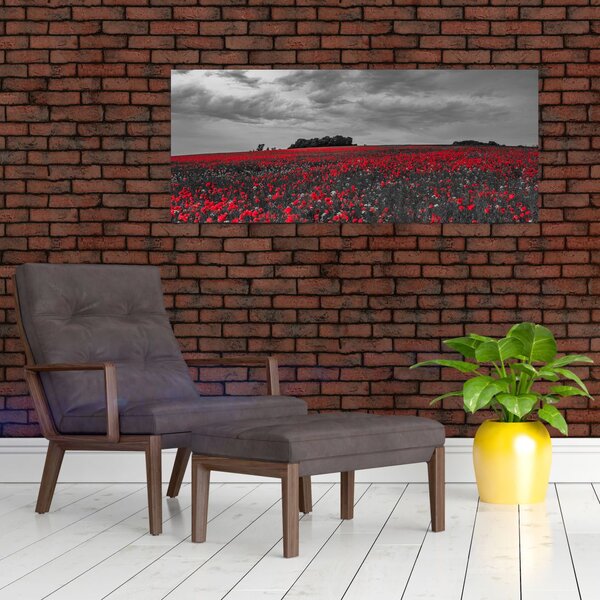 Slika makova (120x50 cm)