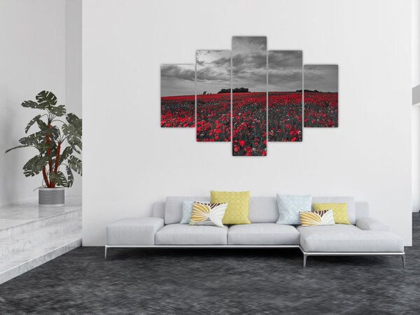 Slika makova (150x105 cm)