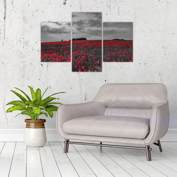 Slika makova (90x60 cm)