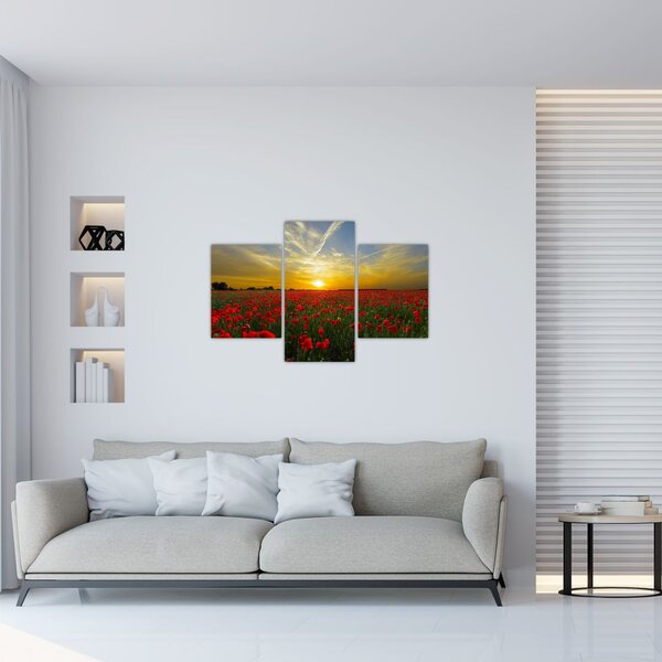 Slika polja maka (90x60 cm)