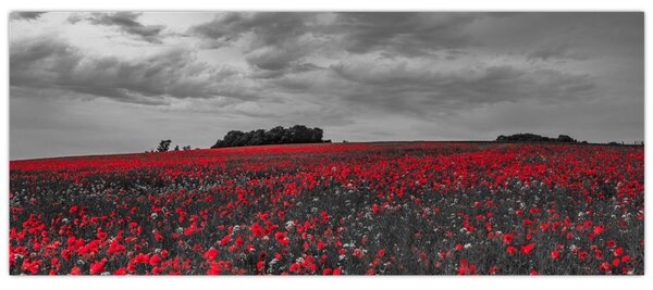 Slika makova (120x50 cm)