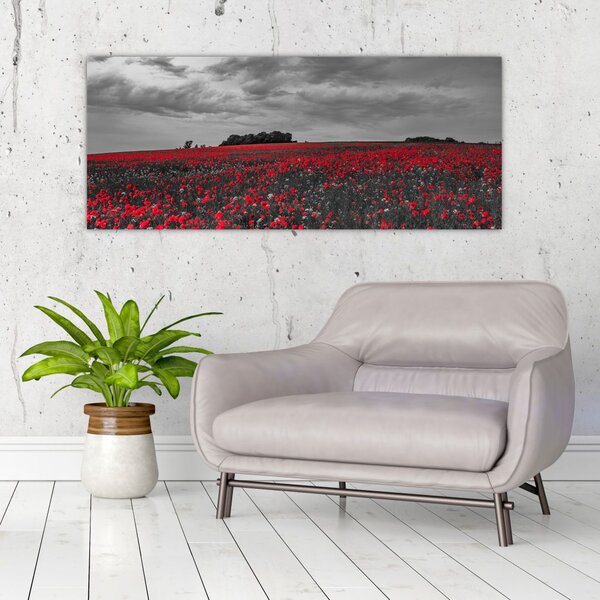 Slika makova (120x50 cm)