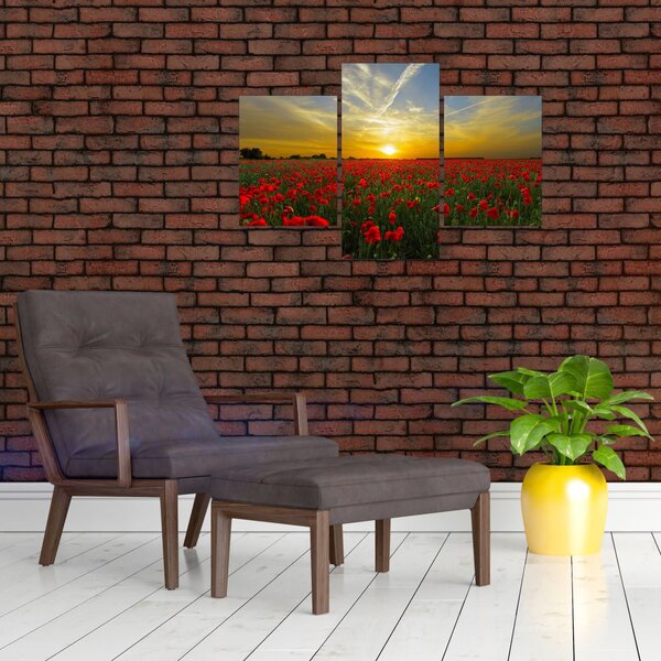Slika polja maka (90x60 cm)