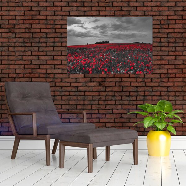 Slika makova (90x60 cm)