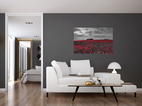 Slika makova (90x60 cm)