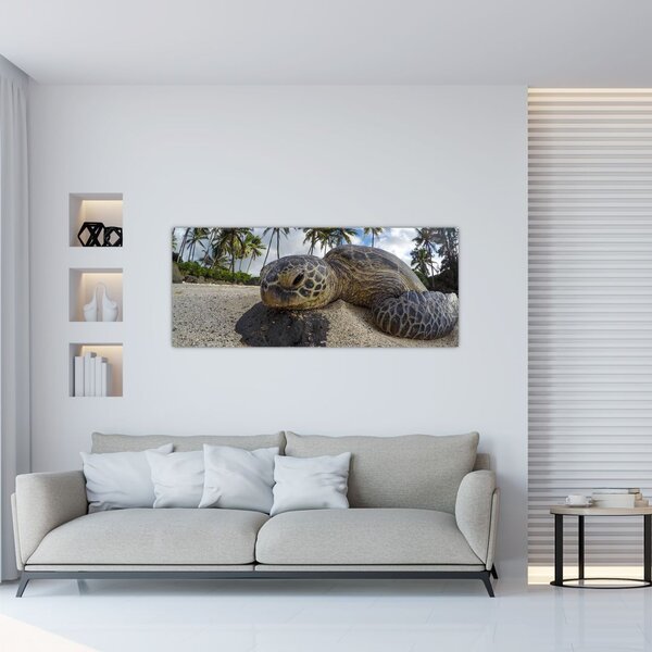 Slika kornjače (120x50 cm)