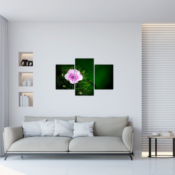 Slika ružičastog cvijeta (90x60 cm)