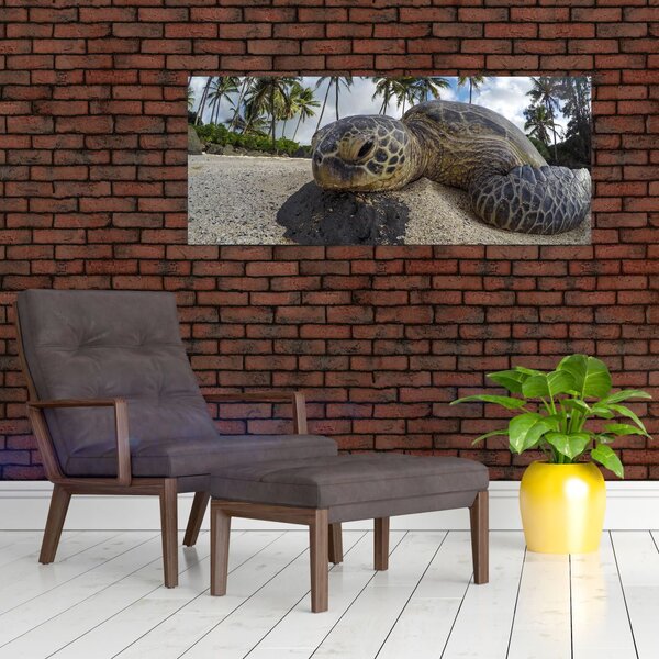 Slika kornjače (120x50 cm)