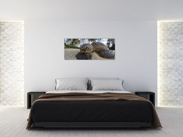 Slika kornjače (120x50 cm)