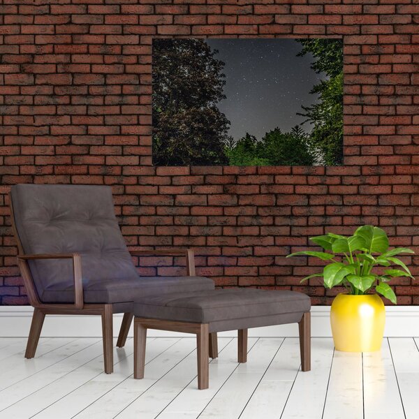 Slika noćnog neba (90x60 cm)