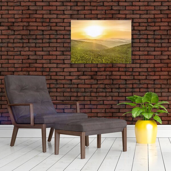 Panoramska slika (70x50 cm)