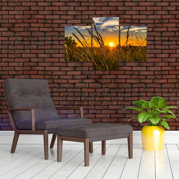 Slika polja pri zalasku sunca (90x60 cm)