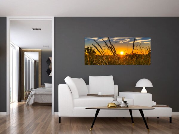 Slika polja pri zalasku sunca (120x50 cm)