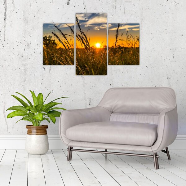Slika polja pri zalasku sunca (90x60 cm)