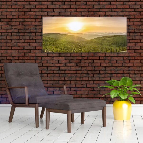 Panoramska slika (120x50 cm)