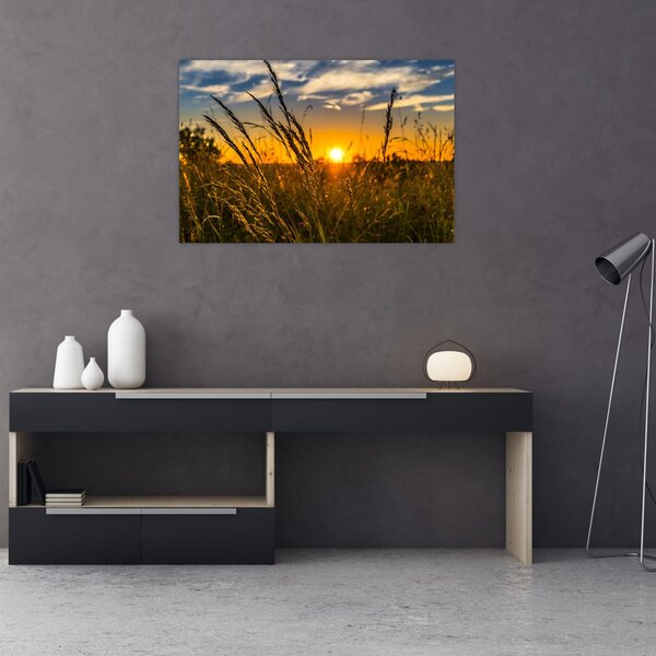 Slika polja pri zalasku sunca (90x60 cm)
