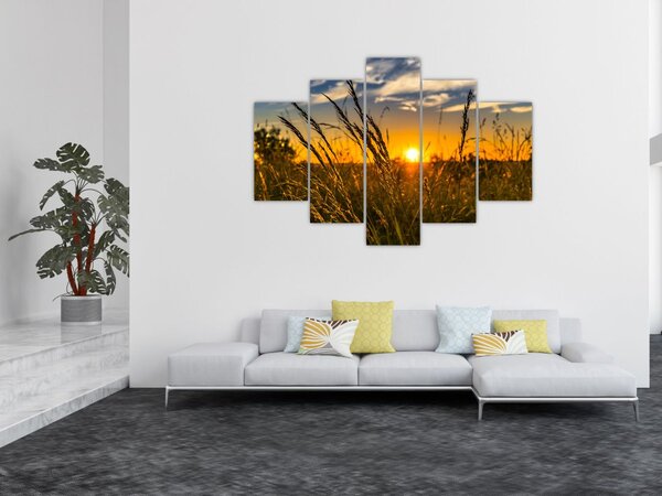 Slika polja pri zalasku sunca (150x105 cm)