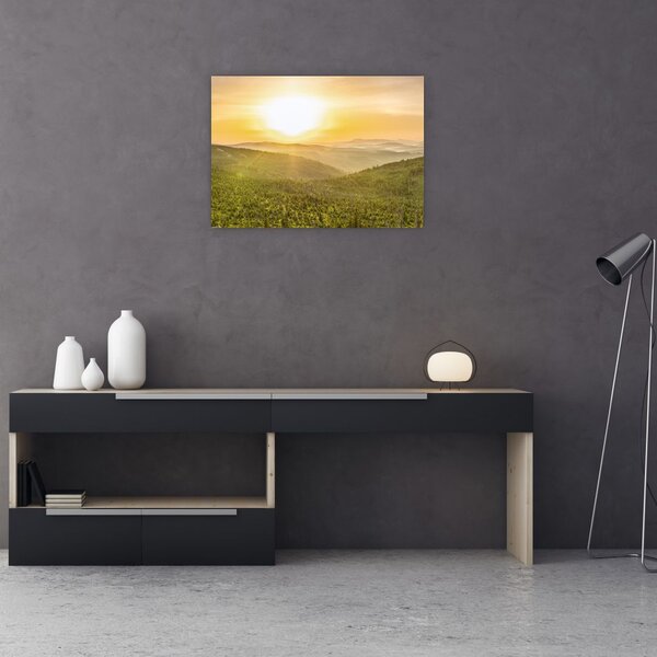 Panoramska slika (70x50 cm)