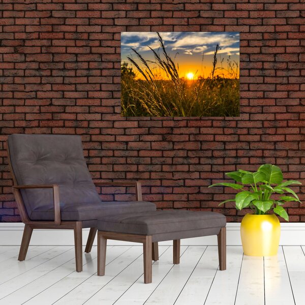 Slika polja pri zalasku sunca (70x50 cm)