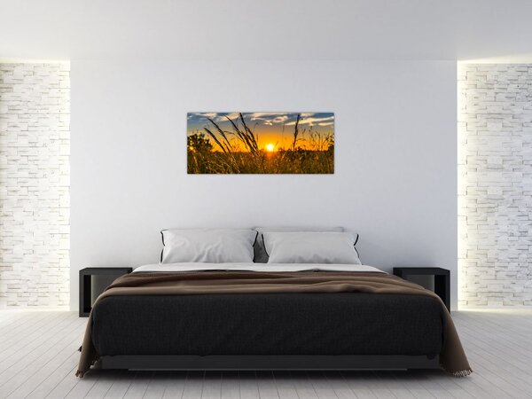 Slika polja pri zalasku sunca (120x50 cm)