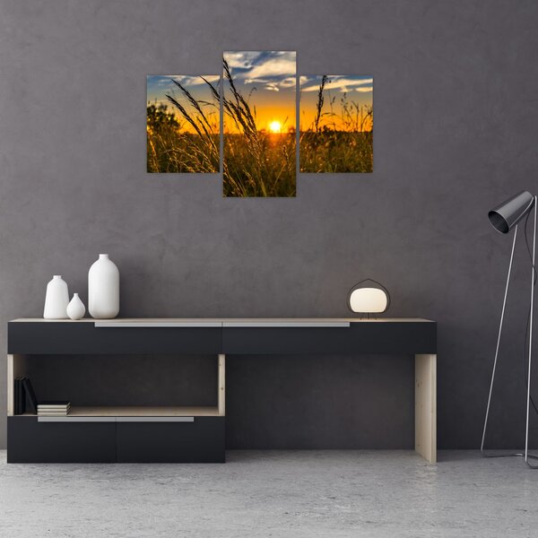 Slika polja pri zalasku sunca (90x60 cm)