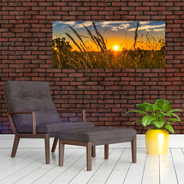 Slika polja pri zalasku sunca (120x50 cm)