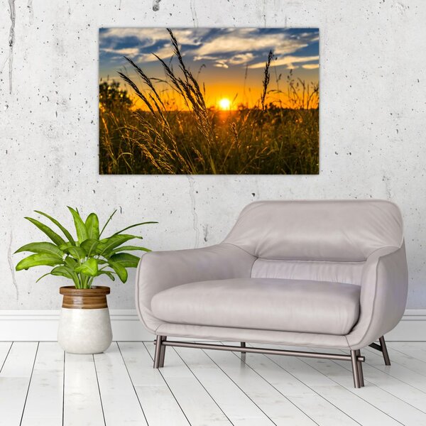 Slika polja pri zalasku sunca (90x60 cm)