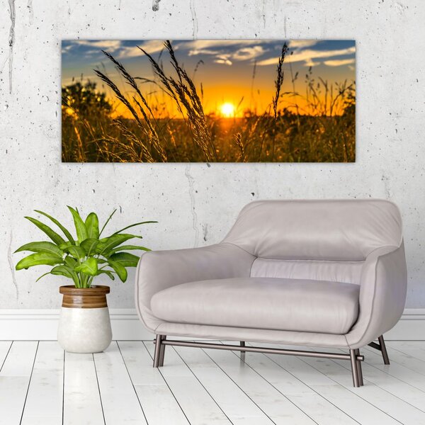 Slika polja pri zalasku sunca (120x50 cm)