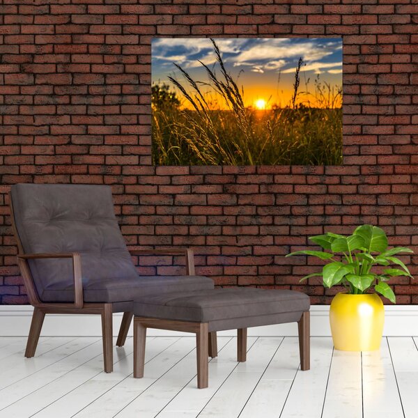 Slika polja pri zalasku sunca (90x60 cm)