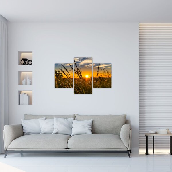 Slika polja pri zalasku sunca (90x60 cm)