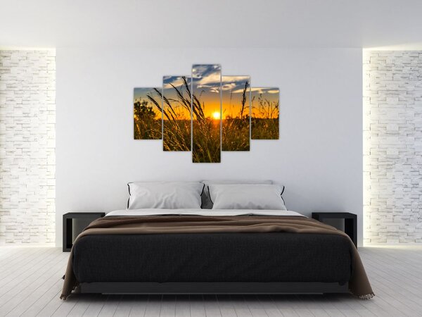 Slika polja pri zalasku sunca (150x105 cm)