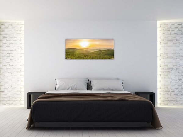 Panoramska slika (120x50 cm)