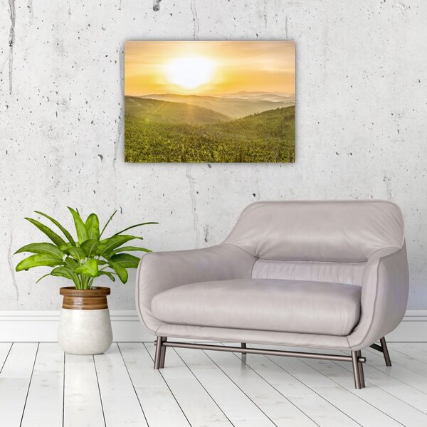 Panoramska slika (70x50 cm)