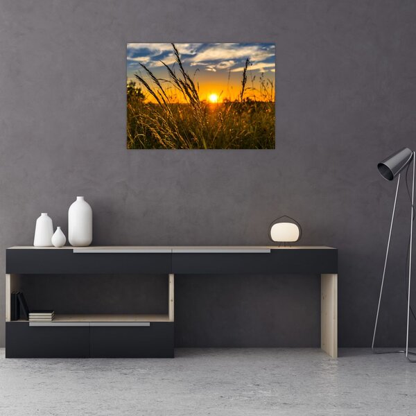Slika polja pri zalasku sunca (70x50 cm)