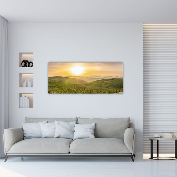 Panoramska slika (120x50 cm)
