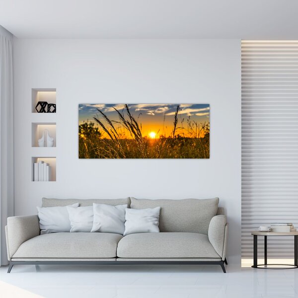 Slika polja pri zalasku sunca (120x50 cm)