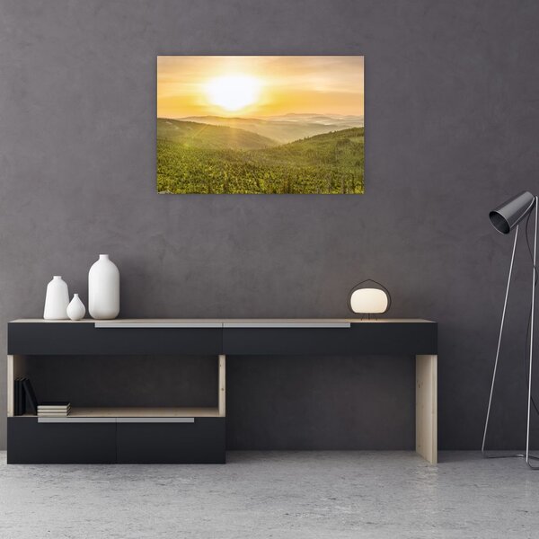 Panoramska slika (90x60 cm)