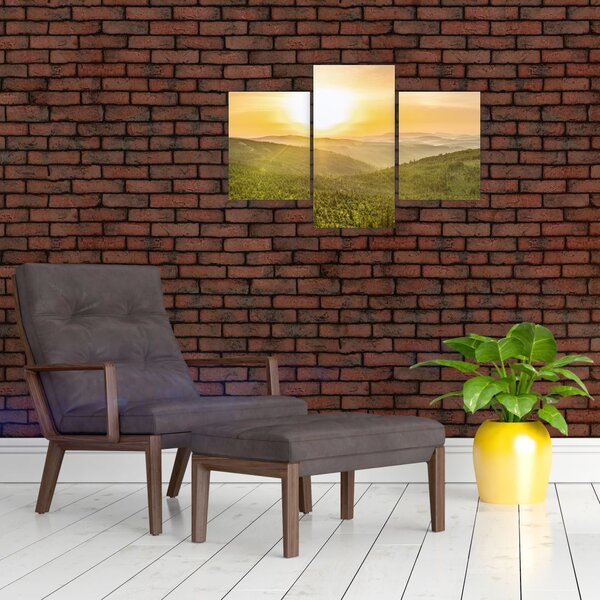 Panoramska slika (90x60 cm)