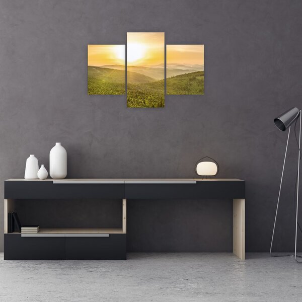 Panoramska slika (90x60 cm)