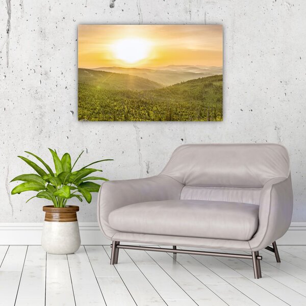 Panoramska slika (90x60 cm)