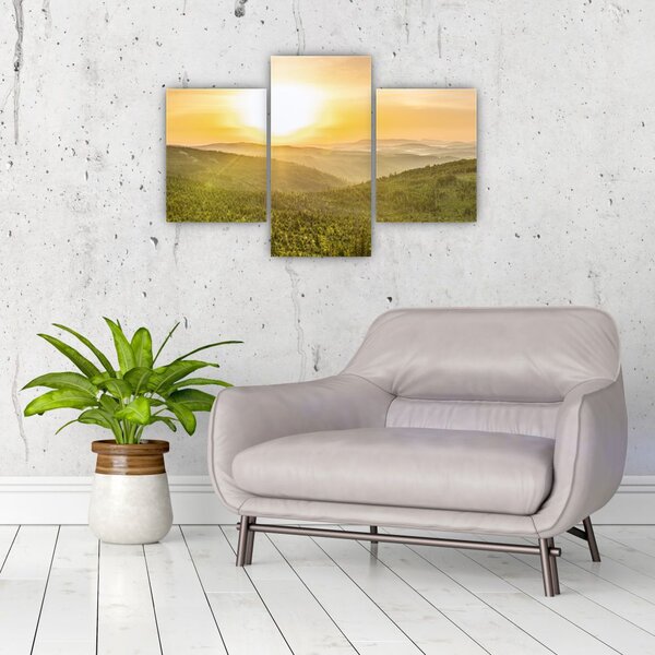 Panoramska slika (90x60 cm)