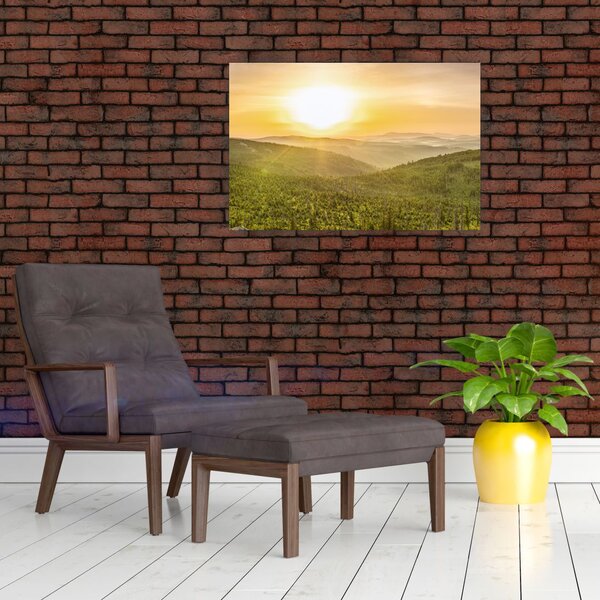 Panoramska slika (90x60 cm)