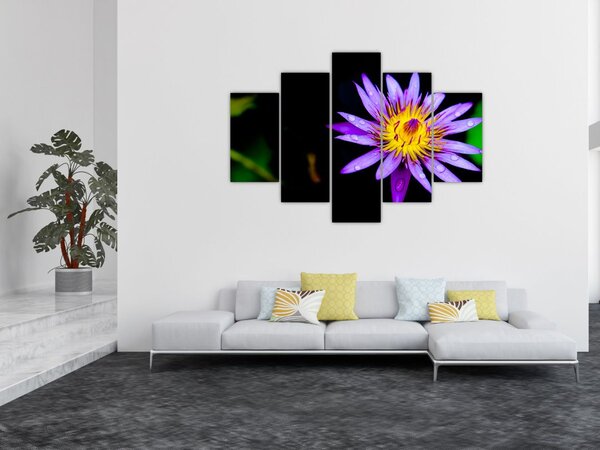 Slika cvijeta (150x105 cm)