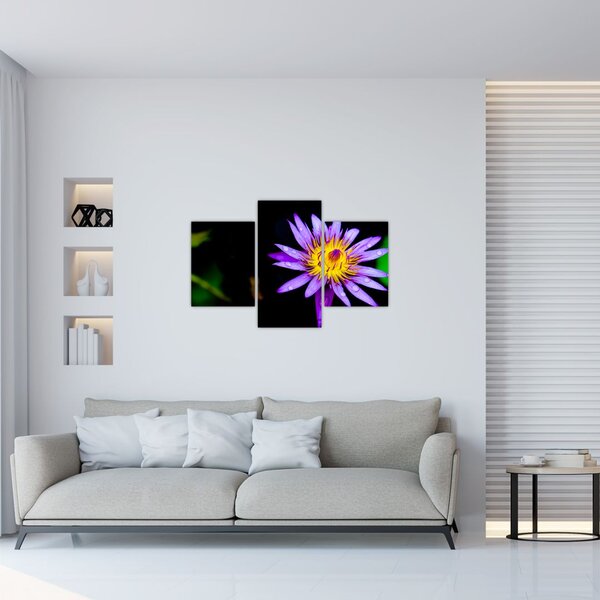 Slika cvijeta (90x60 cm)