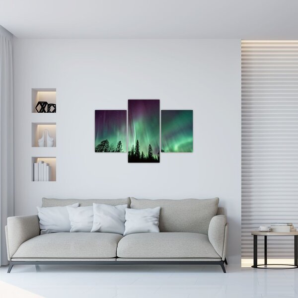 Slika polarne svjetlosti (90x60 cm)