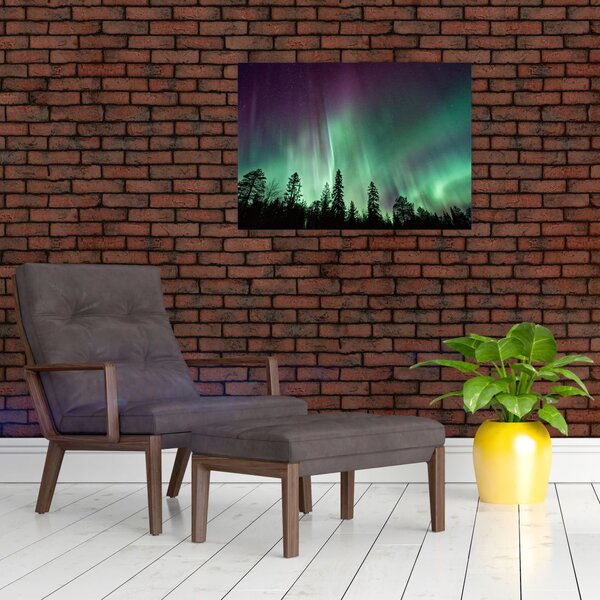 Slika polarne svjetlosti (70x50 cm)