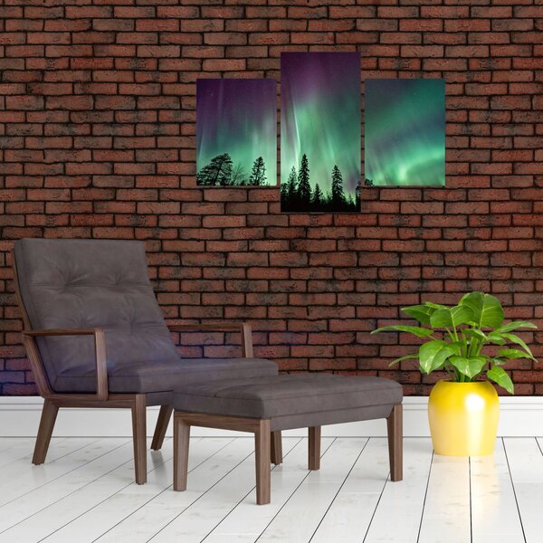 Slika polarne svjetlosti (90x60 cm)